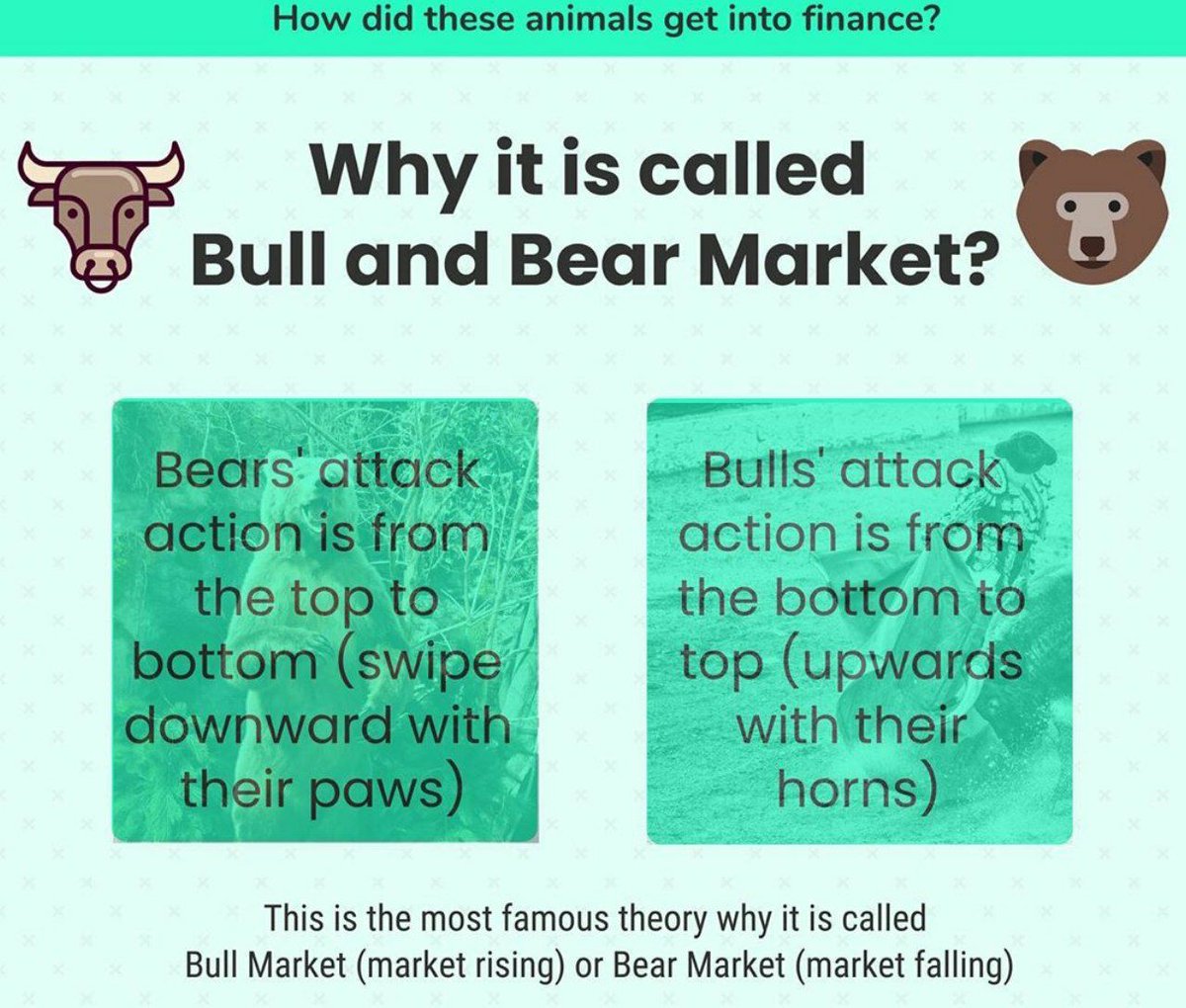 tulsankunal's tweet photo. Implication of *Horns* :p https://t.co/zc2j04O2rA