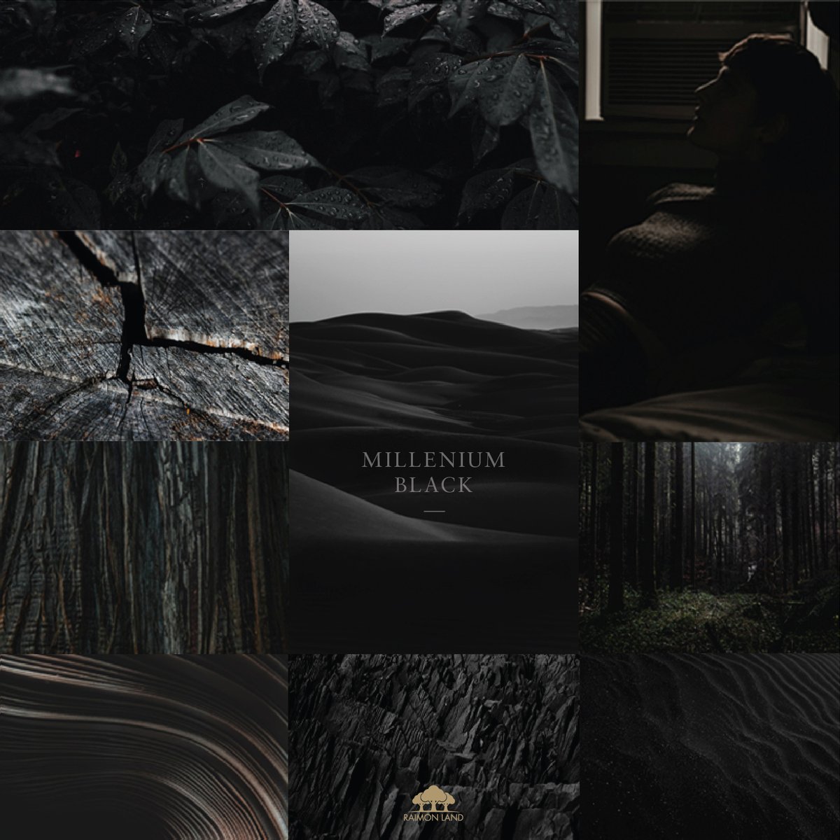 raimonland's tweet photo. The dark hues of ‘Millennium Black’ reflect the vivacity of the urban Millennials-driven and endlessly forward-thinking. 

โทนสีดำ สะท้อนความมีชีวิตชีวาของคนยุคมิลเลนเนียล แต่สงบด้วยธรรมชาติ

Read> https://t.co/b6aBqugMUG

#RaimonLand #BuildingBetterLives #MaterialSelection https://t.co/ixSaDpWkTt