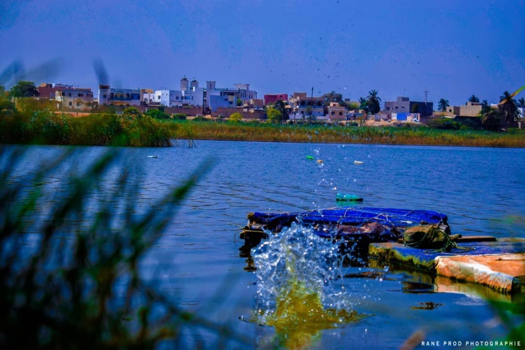 Sunu_Malika's tweet photo. Connais-tu mon beau Village? - Lac Wouy

Excellente semaine à tous !

#sunumalika #lacwouy #environnement #kebetu https://t.co/2tBNib4MoF