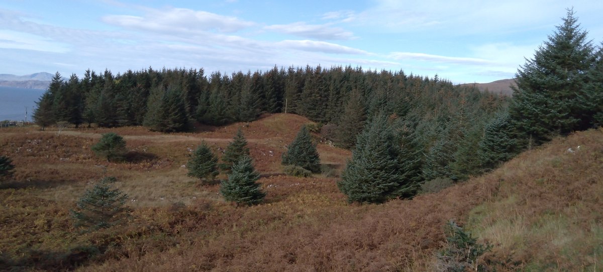 CommunityWoods's tweet photo. CWA Members - you've got mail! We've just sent out our July e-bulletin full of useful information about funding, events, jobs, news &amp; advice for community woodlands. #communitywoods

Anyone involved with a community woodland can subscribe to the e-bulletin https://t.co/psX0kRqQnn https://t.co/D5iwehxZD0
