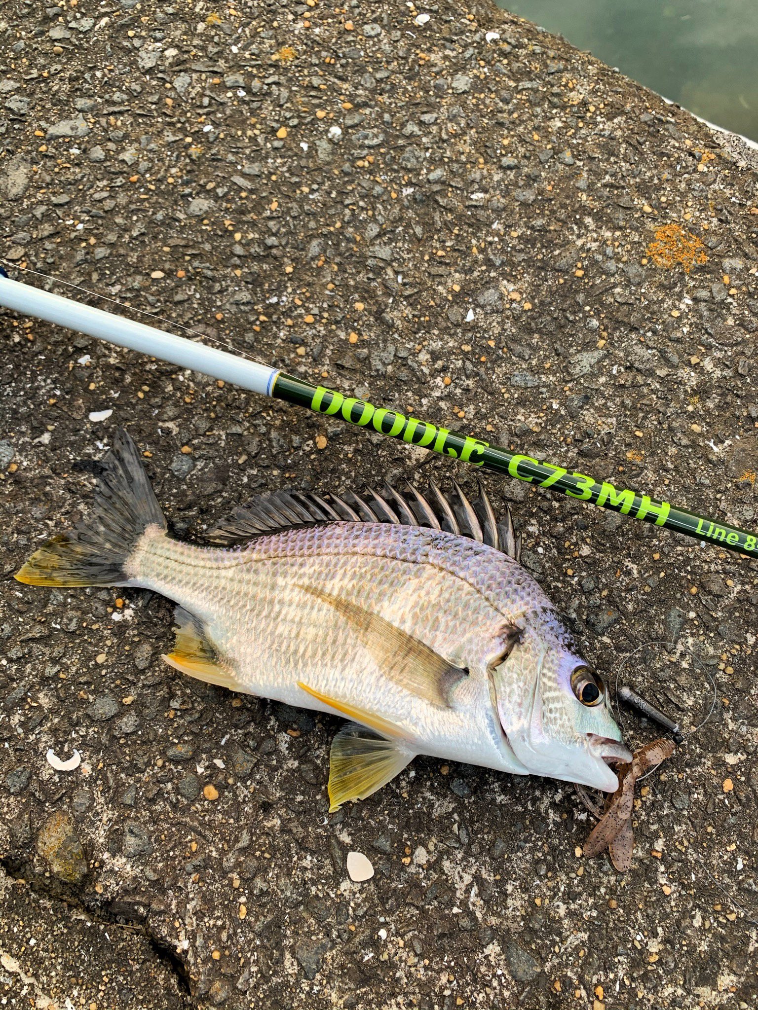 Peegiult Twitter Search Twitter