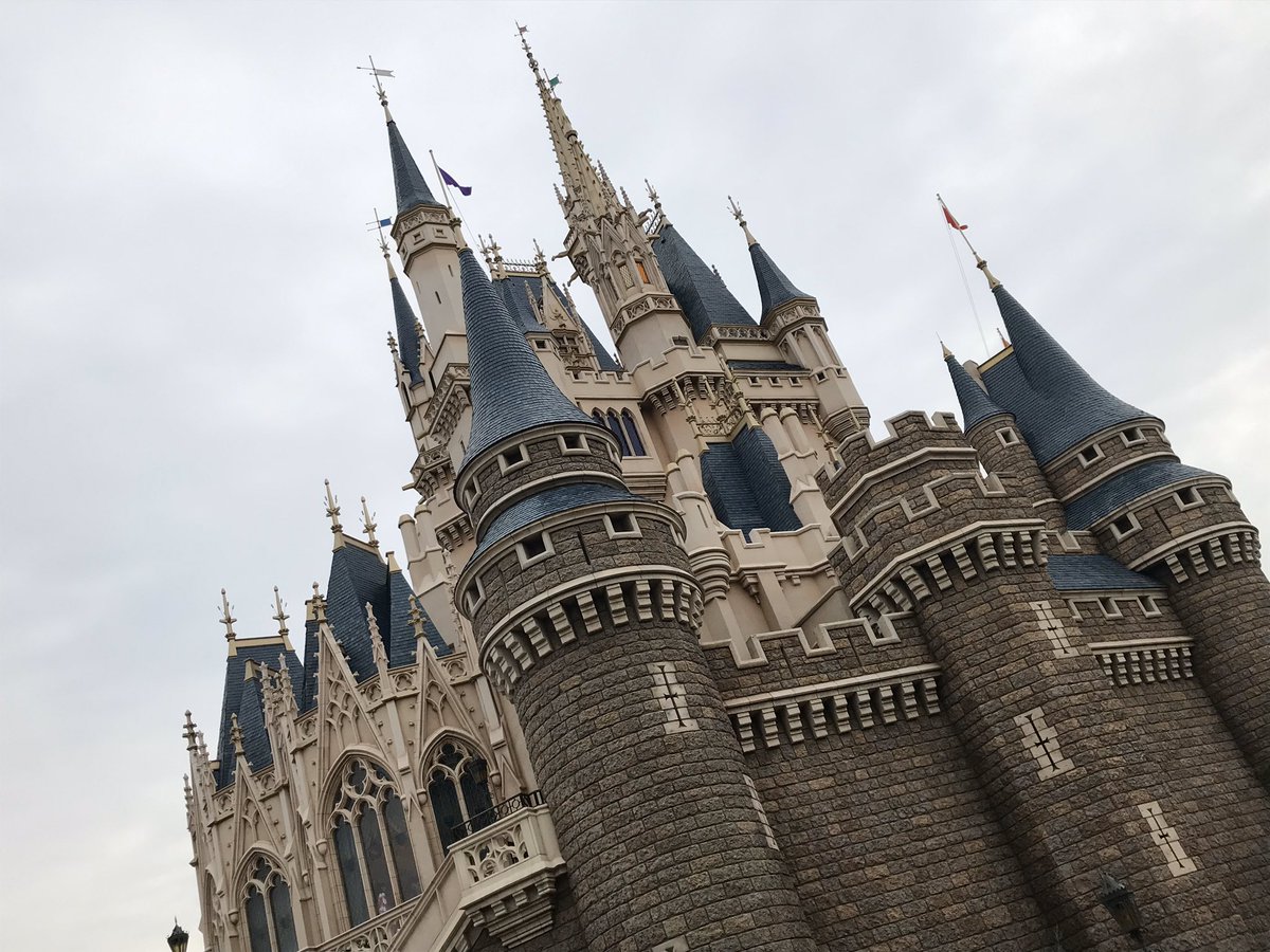 キヌタぬき 去年の今日 実はプロポーズした日です 笑 東京旅行で1日目はディズニーで2日目はウルフェス行ったなぁ 早いもんですわ