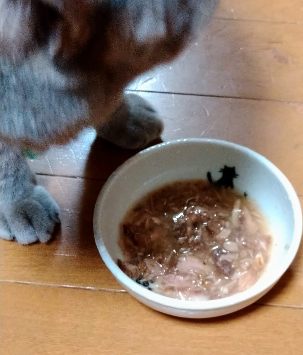 にゃおーん 猫もサプリメントを利用する時代です グルコサミン コンドロイチン硫酸 コラーゲン バイオフラバノール そう どこか人間のcmで聞いたことある 猫も関節ケアします でも歩けるし走れるし跳べるよ ベーコン風味 小さくして金のだしカップ