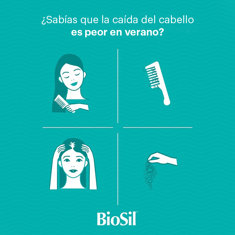 Biosilespana's tweet photo. Uno de los roles del #pelo es calentar el cuerpo🔥, pero en verano no es necesario, verdad? La #caída también puede estar relacionada con la comida🍕, el estrés, los cambios hormonales... 
💊El uso de #BioSil ​​promueve el aumento de #queratina, lo que estimula su crecimiento. https://t.co/MUYrpg8heM