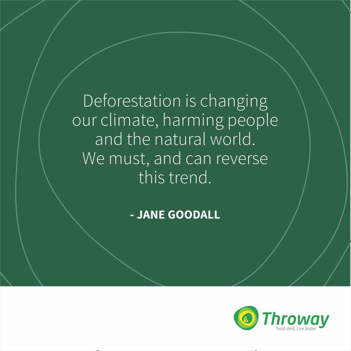 ThrowayNG's tweet photo. Ending deforestation is our best chance to conserve wildlife and defend the rights of forest communities. It is also one of the quickest and most cost-effective ways to curb global warming.

#ThrowayNG
#TrashWellLiveBetter
#Deforestation https://t.co/Umd2yJ90go