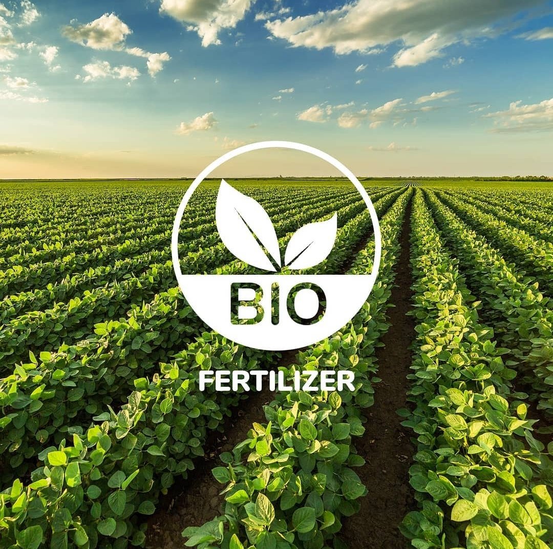 SahyadriFarms's tweet photo. We provide quality affordable low cost bio-nutrition products to improve soil fertility and better utilization of inherent soil nutrients.
.
.
.
#sahyadrifarms #seedinggoodness #farmtotable #freshfruits #freshvegetables #orderonline #homegrown #agriculture #covid19 #safefood https://t.co/fEMliPKg0H