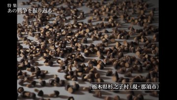 きのこたけのこ戦争をnhkドキュメンタリーっぽく描いた作品 特集 あの戦争を振り返る Togetter きのこたけのこ戦争をnhkドキュメンタリーっぽく描いた作品 特集 あの戦争を振り返る Togetter