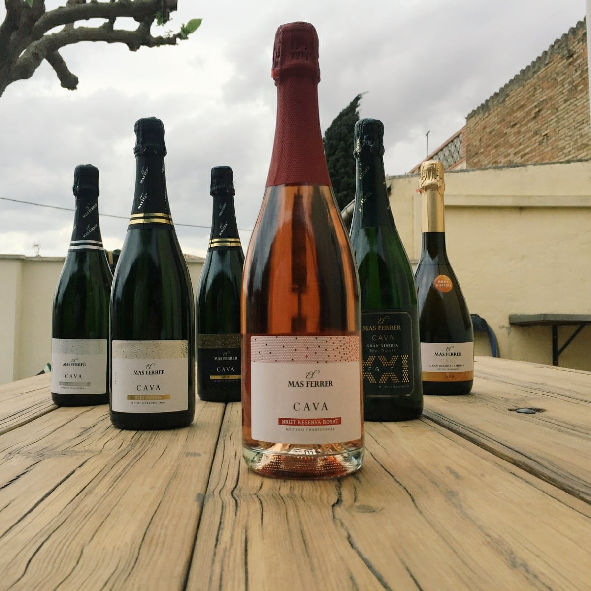 Coneixes tots els nostres productes? 💚🥰

Tenim des de Brut fins a Gran Reserva, Rosat, dos caves ecològics i vi blanc 😍

Quin t'agrada més? 🍾🥂