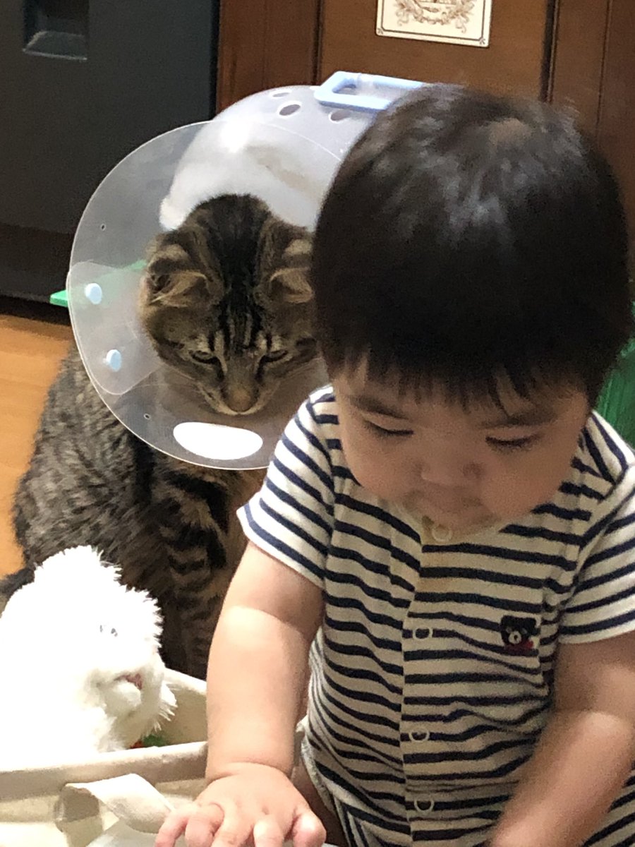 donald0405 tweet media