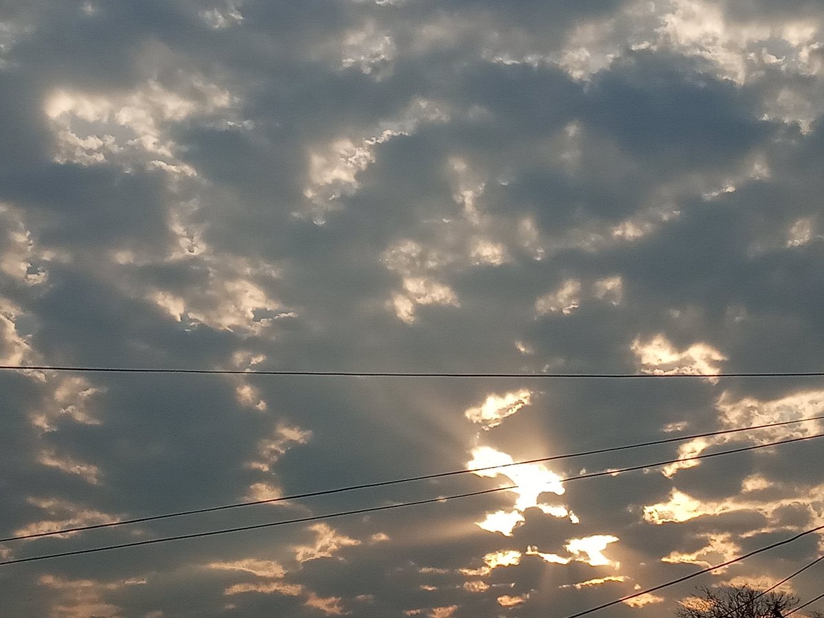 GiuntaGiusti tweet media