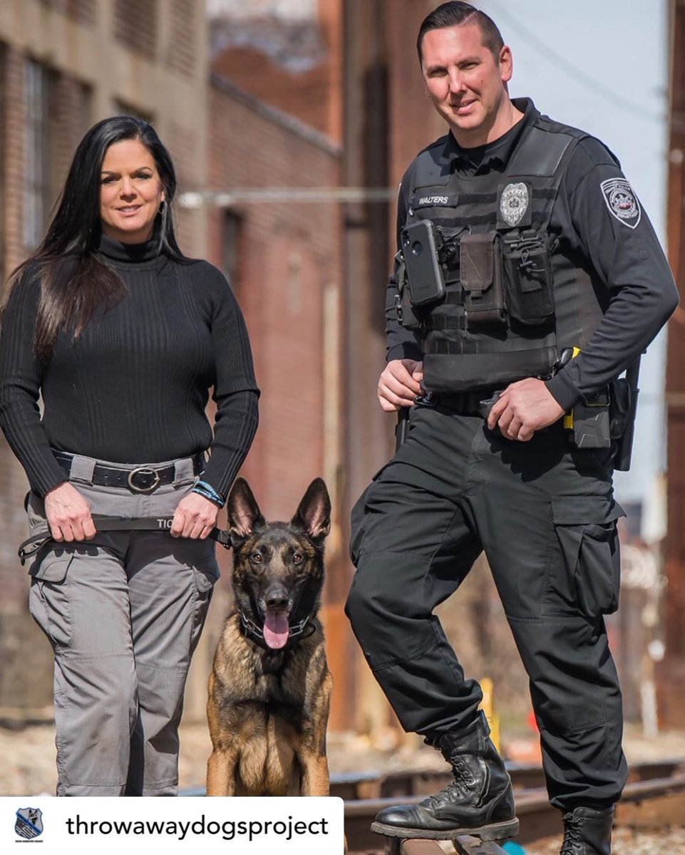 We have one mission, to give misunderstood dogs a new purpose in life. We are THROW AWAY DOGS PROJECT 💙 Photo by: Larson Images #throwawaydogs #repurposed #misunderstood #k9 #workingdog #k9tico #k9partner
