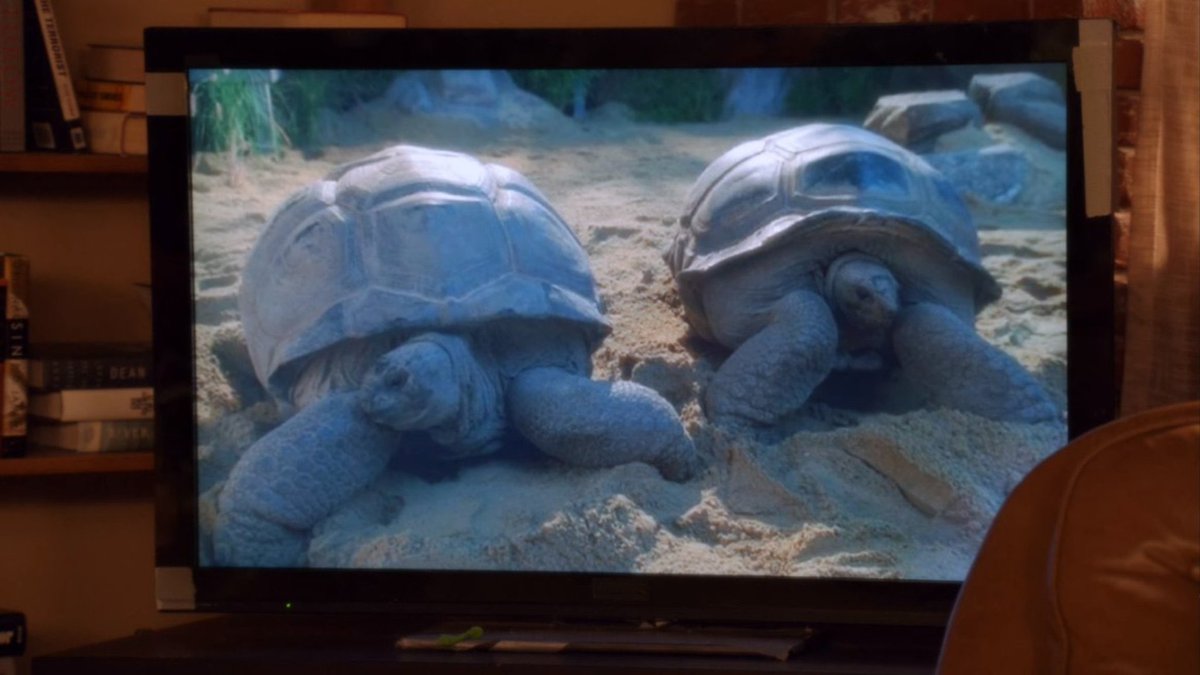 nonewgirlcontxt's tweet image. 