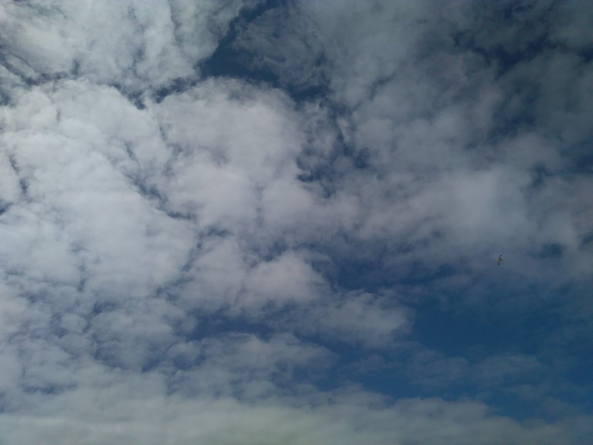 GabrielleBarnby's tweet photo. Birsay sky now uploaded. @DeveronProjects 
On the ninth anniversary of living in Orkney we went out and finally did it. We saw puffins.
#small #characters #orkney #slowmarathon https://t.co/NPA0U0F0MX