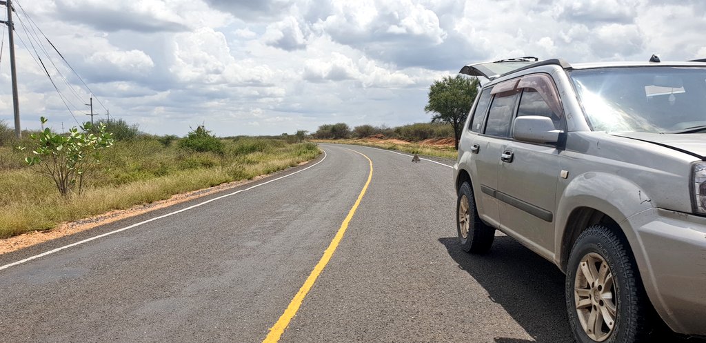 I tweeted this earlier, we did breakdown on the way back from L.Turkana in the middle of this stretch. A few calls and the Chief Inspector at Lokichar sent an AP car with a mechanic from Lokichar. Luckily, we broke down a few kms from the Turkana South  @kwskenya gate.