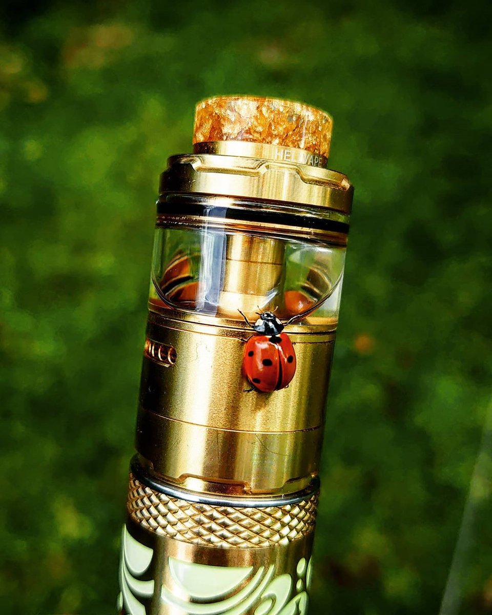 Morden entertainment tweet media