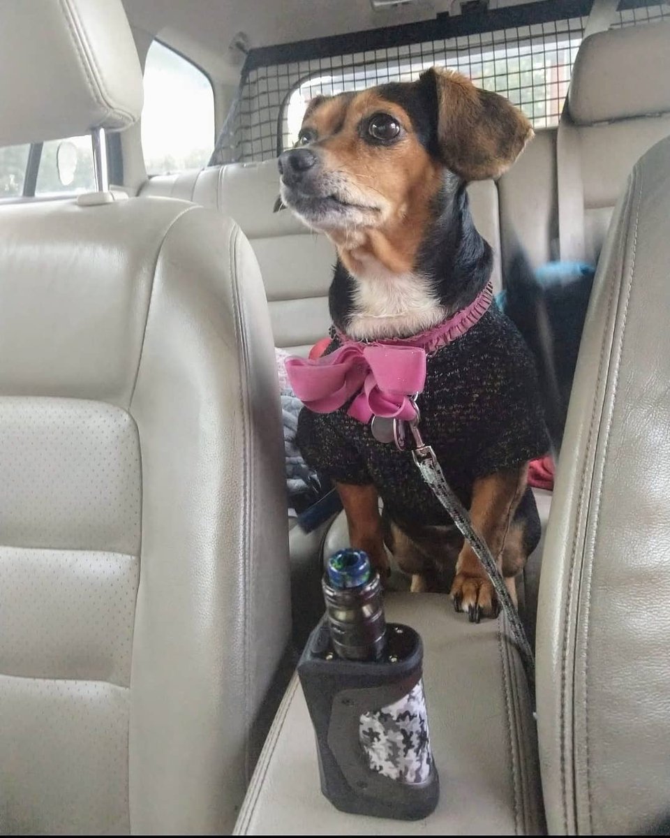 Morden entertainment tweet media