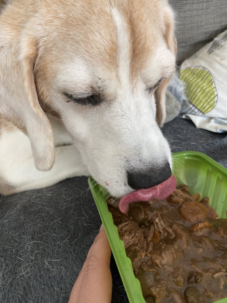 Lovely lunch - thank you @malcolmpayne77 - it was yummy! 🐶❤️
