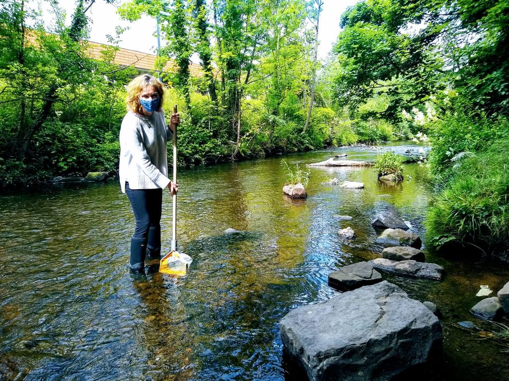 Today marks the return of our children's holiday events. Mondays 11-1 and Thursdays 2-4. See our website at waterofleith.org.uk for more details.
