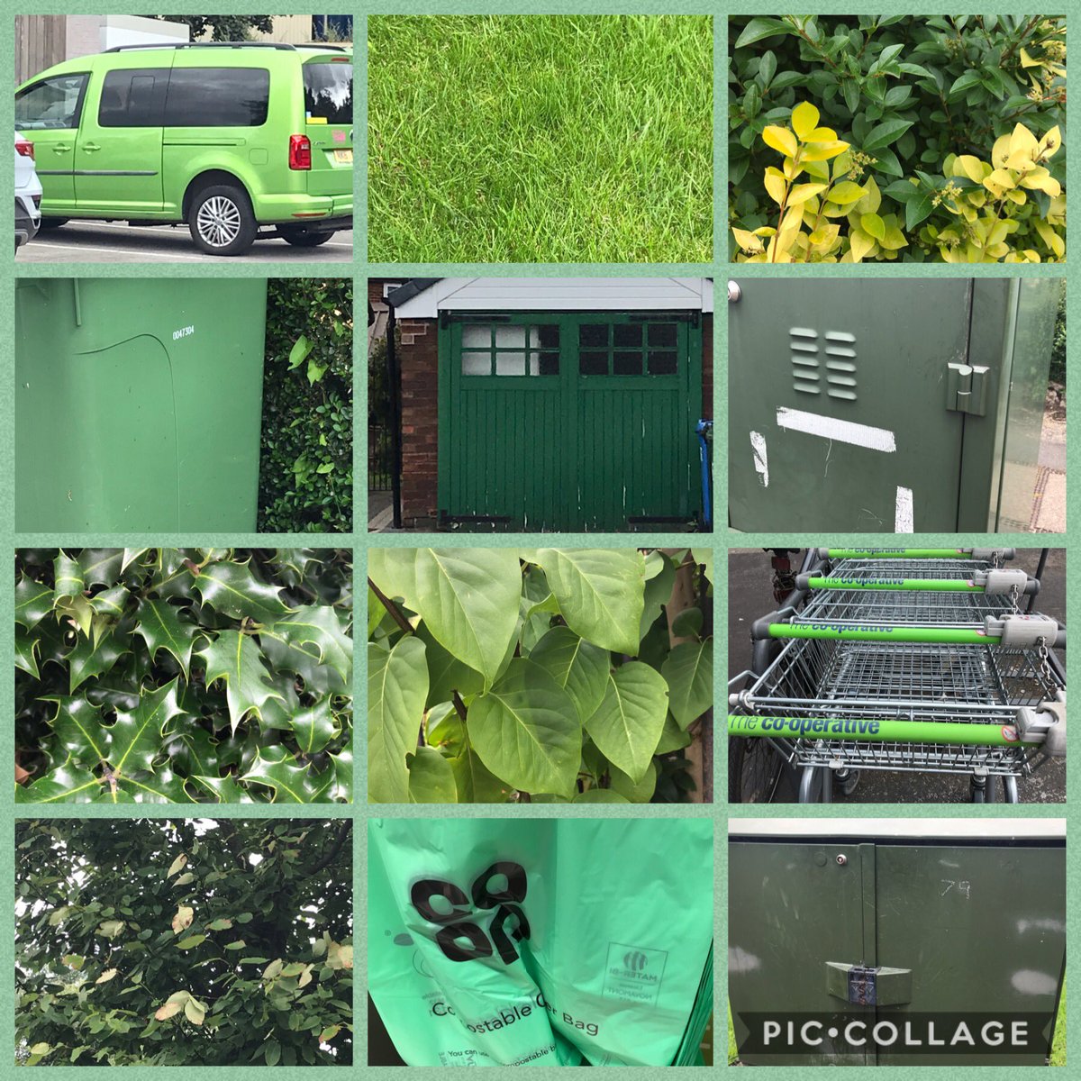 cn77's tweet photo. @TyntesfieldJM We found lots of green on our colour walk this morning👍✅ https://t.co/LUo3cQscVh