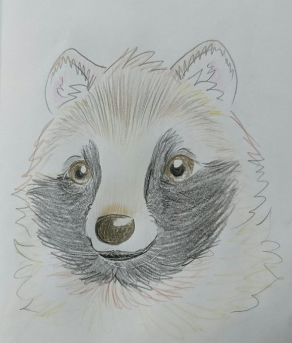 タヌキとキツネのtwitterイラスト検索結果 古い順 タヌキとキツネのtwitterイラスト検索結果 古い順