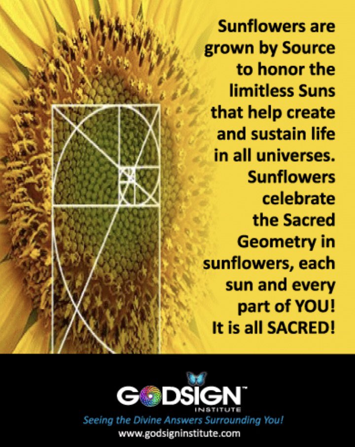 godsigninst's tweet photo. #godsigninsitute #sunflower #source #honor #suns #life #universe #sacredgeometry #sacred #Spirituality #spiritual #godsign #godsigns https://t.co/xidlNnUuo4