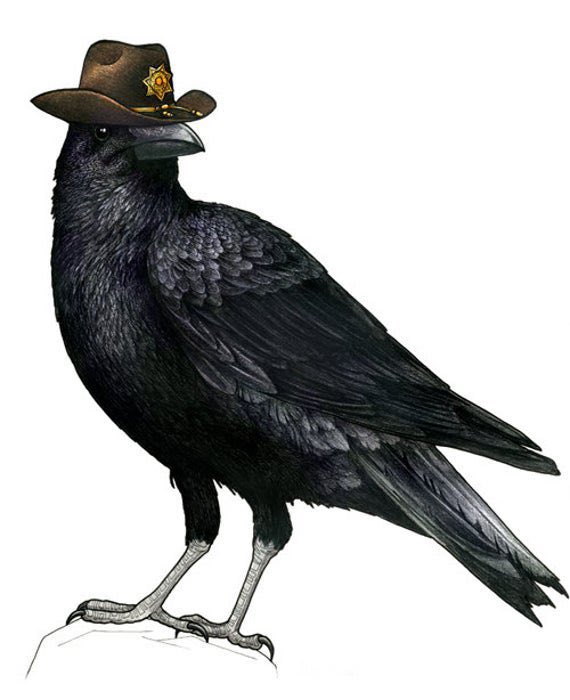 DailyRavencoin's tweet photo. .@Ravencoin Yeeee Kaaaaaw! $RVN 
#ravencoin #ipfs https://t.co/xwh1qmQ4Cv