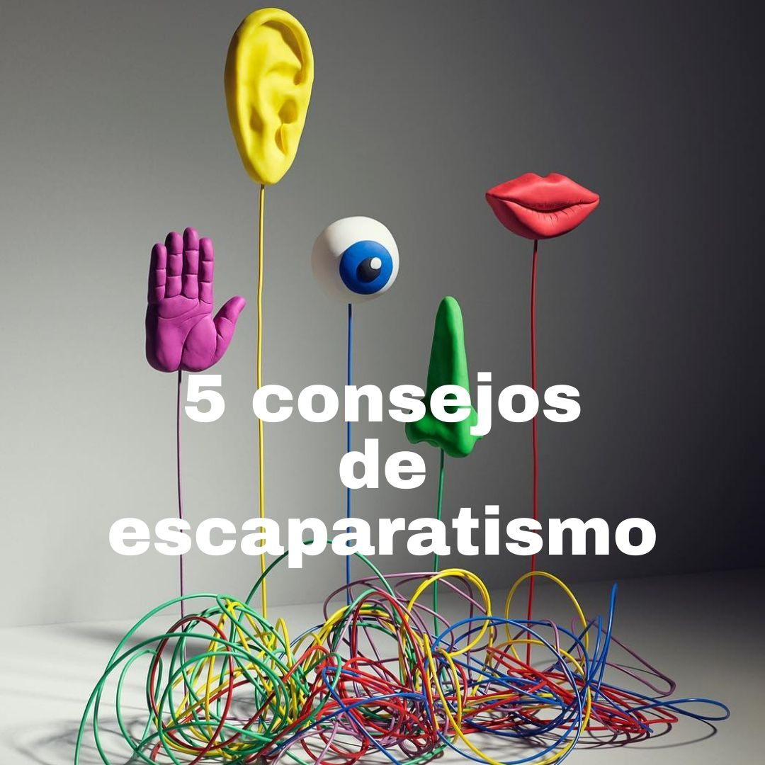 ☝️ Consejos de Profesor de Àrtidi de Moda y Arte de maniquíes @davidgprieto⁠
⁠Mira nuestro Instagram para recibir los consejos
soo.nr/x0Q3
créditos: @kylejbean⁠
⁠🔴 soo.nr/0wq3 mándanos un correo a ⁣informacion@artidi.com  #escaparatismo  #artidianos