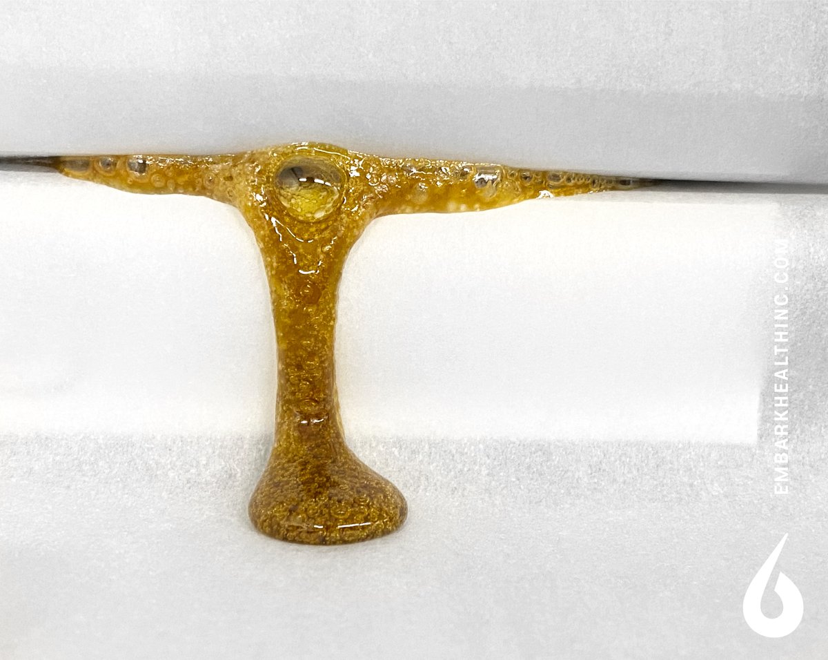embarkhealthinc's tweet photo. Embark's #InsideTheLab series with Marcus Richardson and a view of #Rosin produced from @jc_medicinal #cherrypunch flower. PHOTO: Marcus Richardson @bcbubbleman
#embarkwwithus #embarklab #cannabisextraction #rosinpress #rosintech #concentrates https://t.co/2NjsCFeZxF