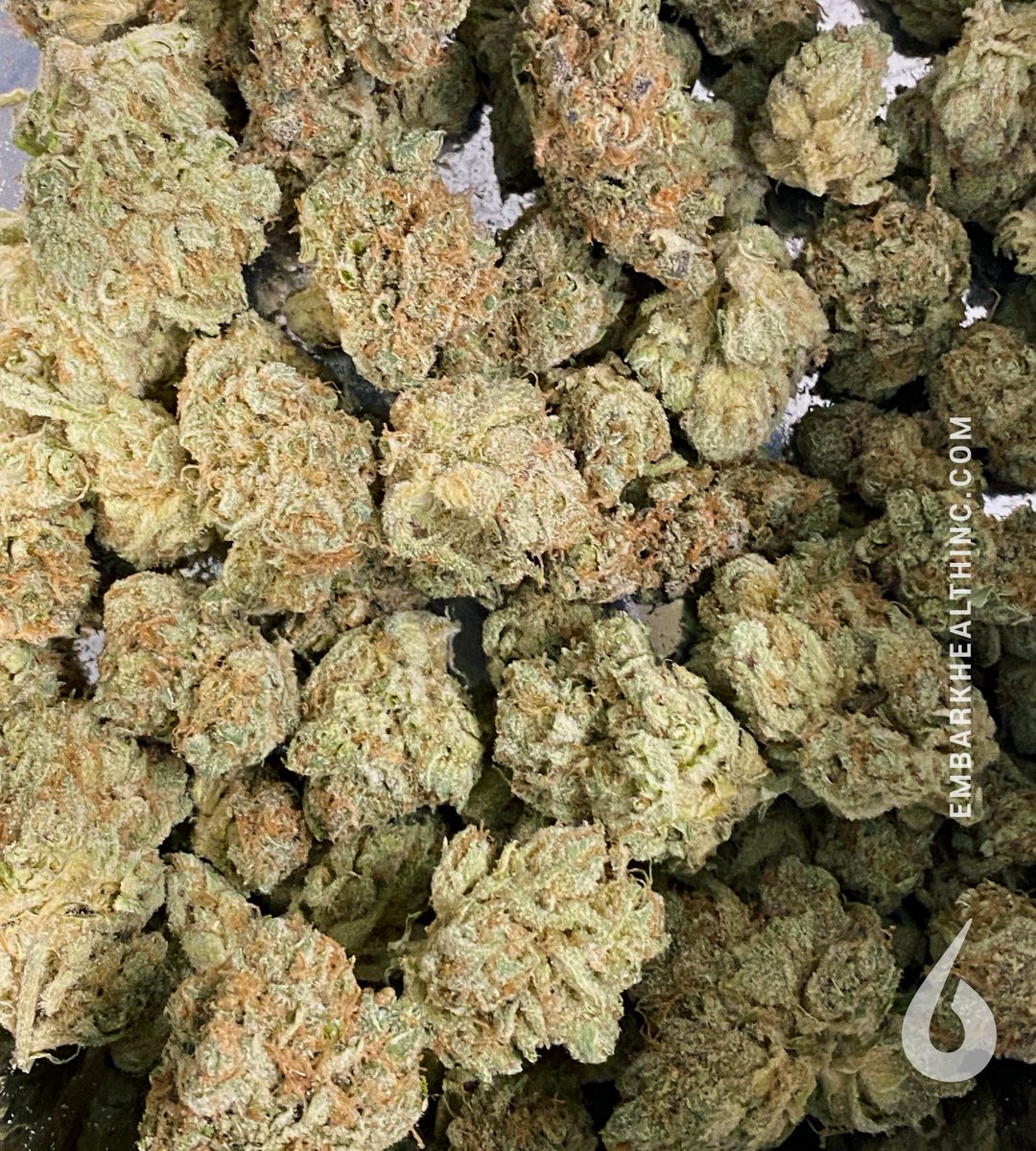 embarkhealthinc's tweet photo. Embark's #InsideTheLab series with Marcus Richardson and a view of #Rosin produced from @jc_medicinal #cherrypunch flower. PHOTO: Marcus Richardson @bcbubbleman
#embarkwwithus #embarklab #cannabisextraction #rosinpress #rosintech #concentrates https://t.co/2NjsCFeZxF
