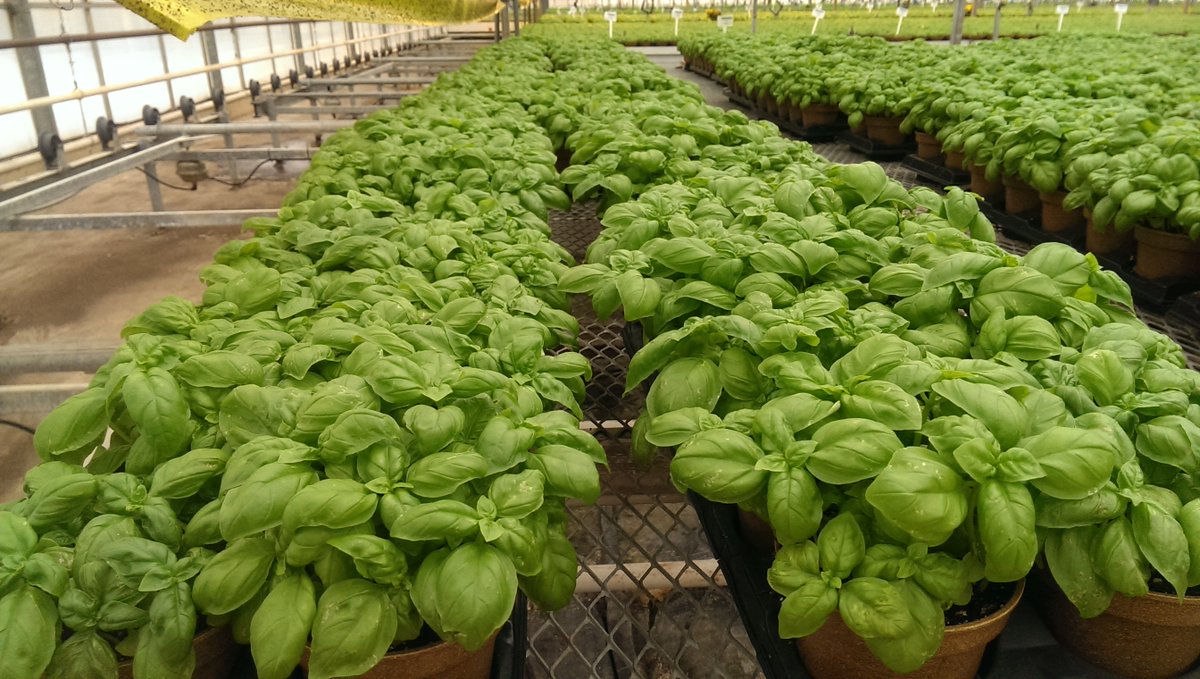 “The chain is only as strong as the weakest link.” Peak performance in farming operations always includes high-performance water.  Find out more at info@SanEcoTec.com