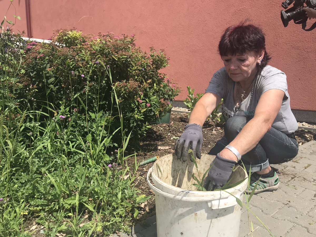 Kucerova_uci's tweet photo. A small town of Židlochovice solving their homeless. The way seems to be simple: finding a place to live in (a container-flat at first, then a normal one), finding a job. 7 people on the programme now. My life is meaningful again, sais one of them after 20 years on the street. https://t.co/g2QpiJ2mzn