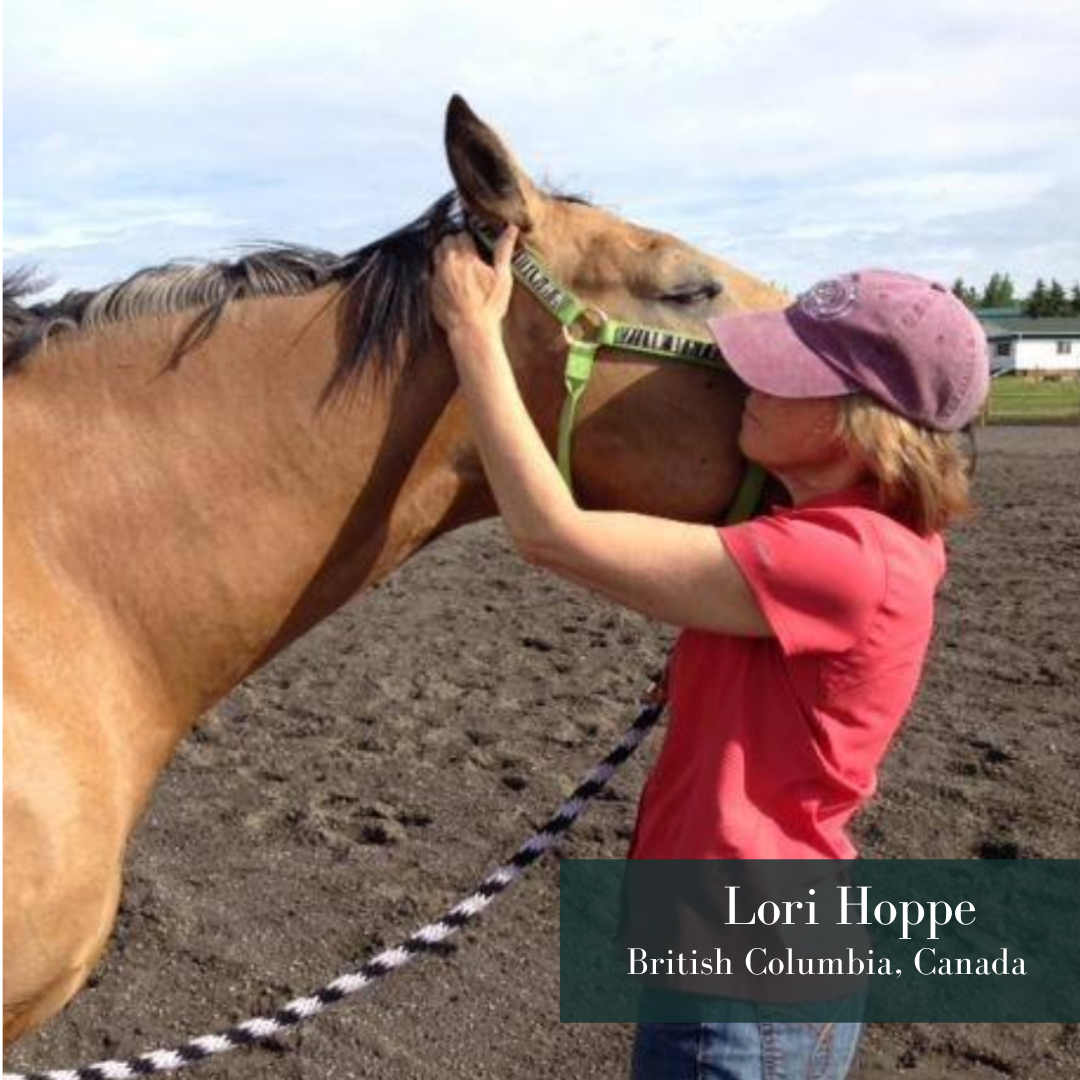 MastersonMethod's tweet photo. Instructor, Coach and #MMCP Lori Hoppe is this week's feature for #MastersonPractitionerMonday! ⠀

Find out more about Lori in her bio on our website,
https://t.co/zIDn8l7sQD
#MastersonMethod #EquineBodyworker #ReleasingTension #HorseBodywork #EquineTraining #EquineConnection https://t.co/ibE3NNDd7u