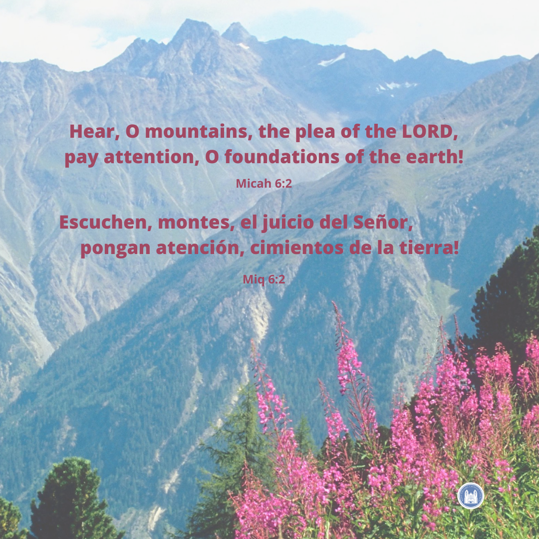 St Michael Livermore tweet media