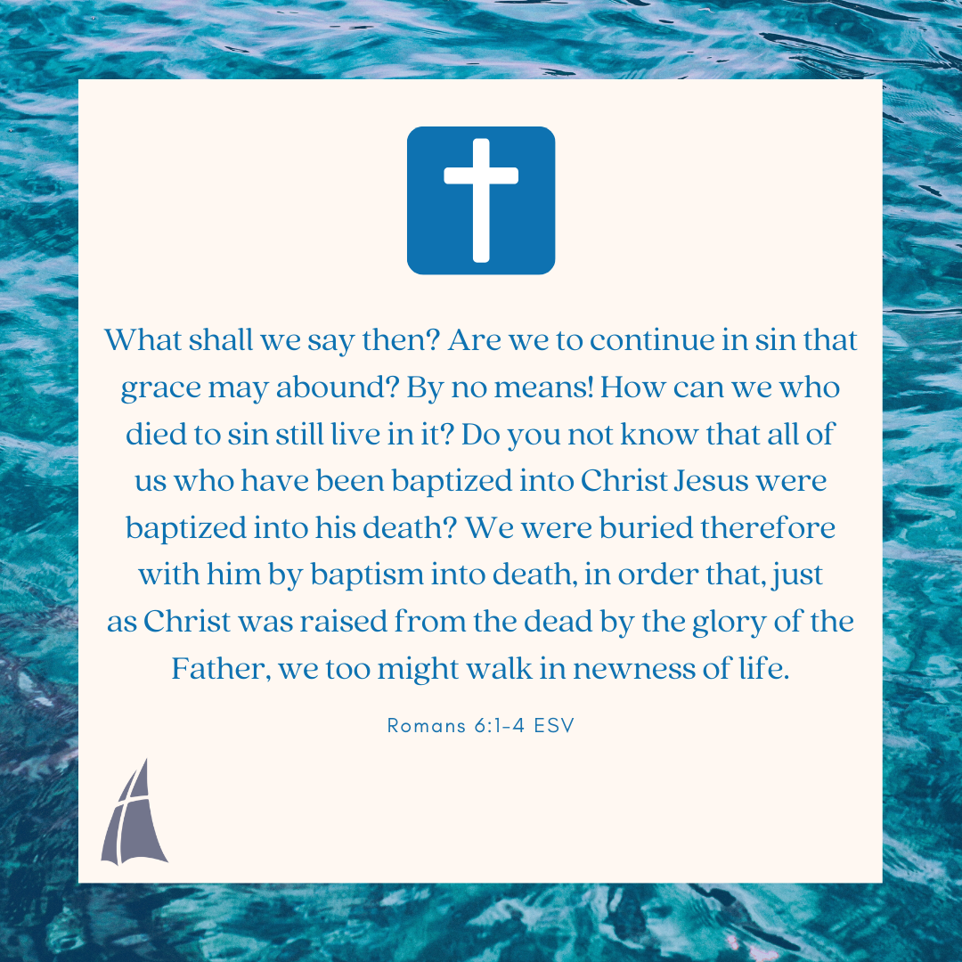 FirstNSB's tweet photo. #Weeklymemoryverse https://t.co/kaUax4u43D