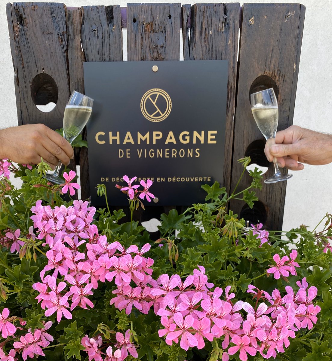 VinLeglantier's tweet photo. Summer is coming! #Flowers #CoteauxSézannais #Champagne @SGVChampagne @Champagne @ChampagneWH @AP2Coteaux https://t.co/XyBQPqEfAl