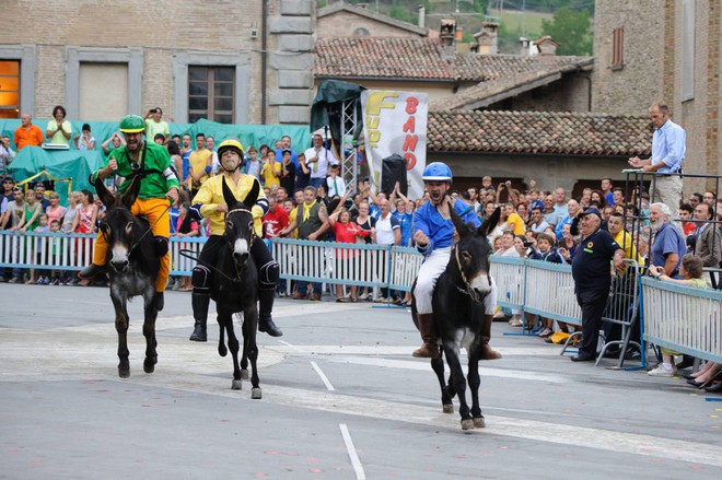 The most exciting event in Mercatello is the two-week preparation and ensuing festivities of the Palio del Somaro based on the famous Palio of Siena – a horse race within the grand piazza of Siena. In this case, just replace horses with donkeys and enjoy the party! #italianatours