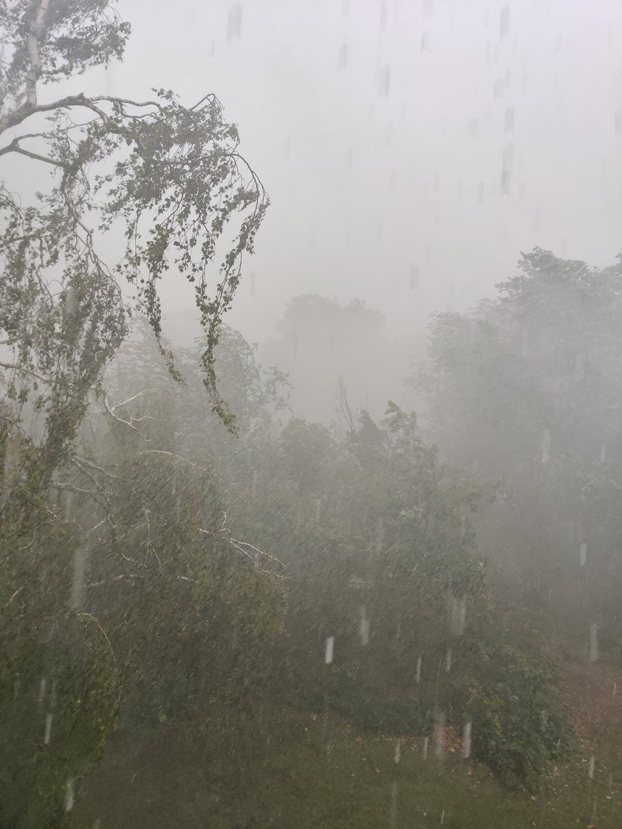 Endlich ist die Abkühlung da!