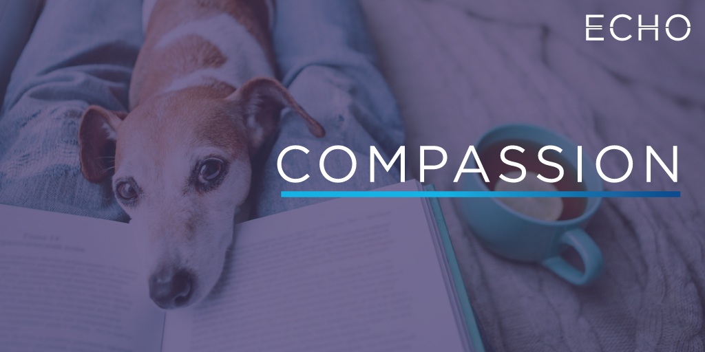 Compassion, another of our core values, is hard in practice. It may be easy when life's easy, but to maintain when humans are cantankerous and contrary takes effort. The real lesson is love, a lesson known by ECHO staff. Please support us at echoworks.org/donors. #compassion