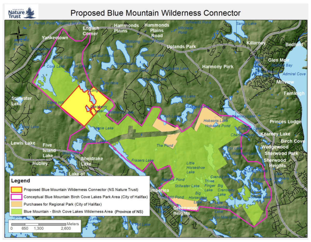 The property in question is the "Blue Mountain Wilderness Connector" (shown in yellow). It connects the 2 pieces of the publicly-owned provincial protected wilderness area (shown in green).