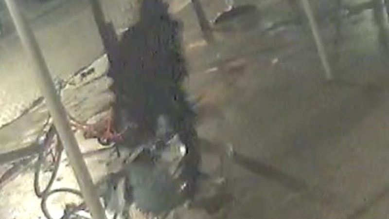 Rotterdamse politie zoekt man die vrouwen op billen slaat -..