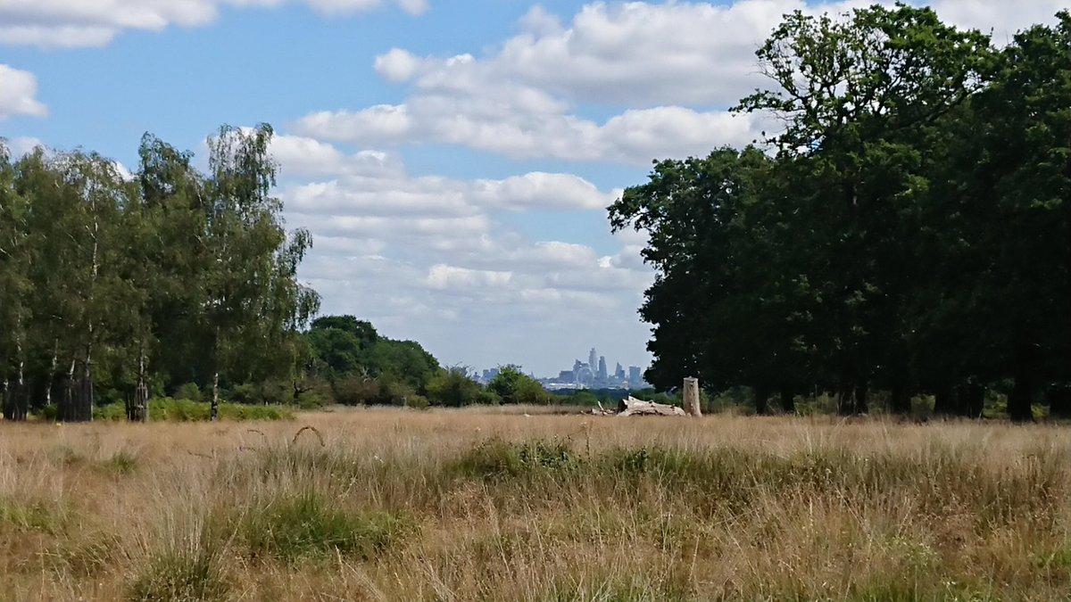 NorthLDNCares's tweet photo. ☀️The #RemoteRelay has begun! ☀️
Ellie walked 10K around Richmond Park today and what a beautiful day it was! Well done Ellie and thank you so much for fundraising for North London Cares #walking #RichmondPark #virtualfundraising https://t.co/fqWTzDCxYO