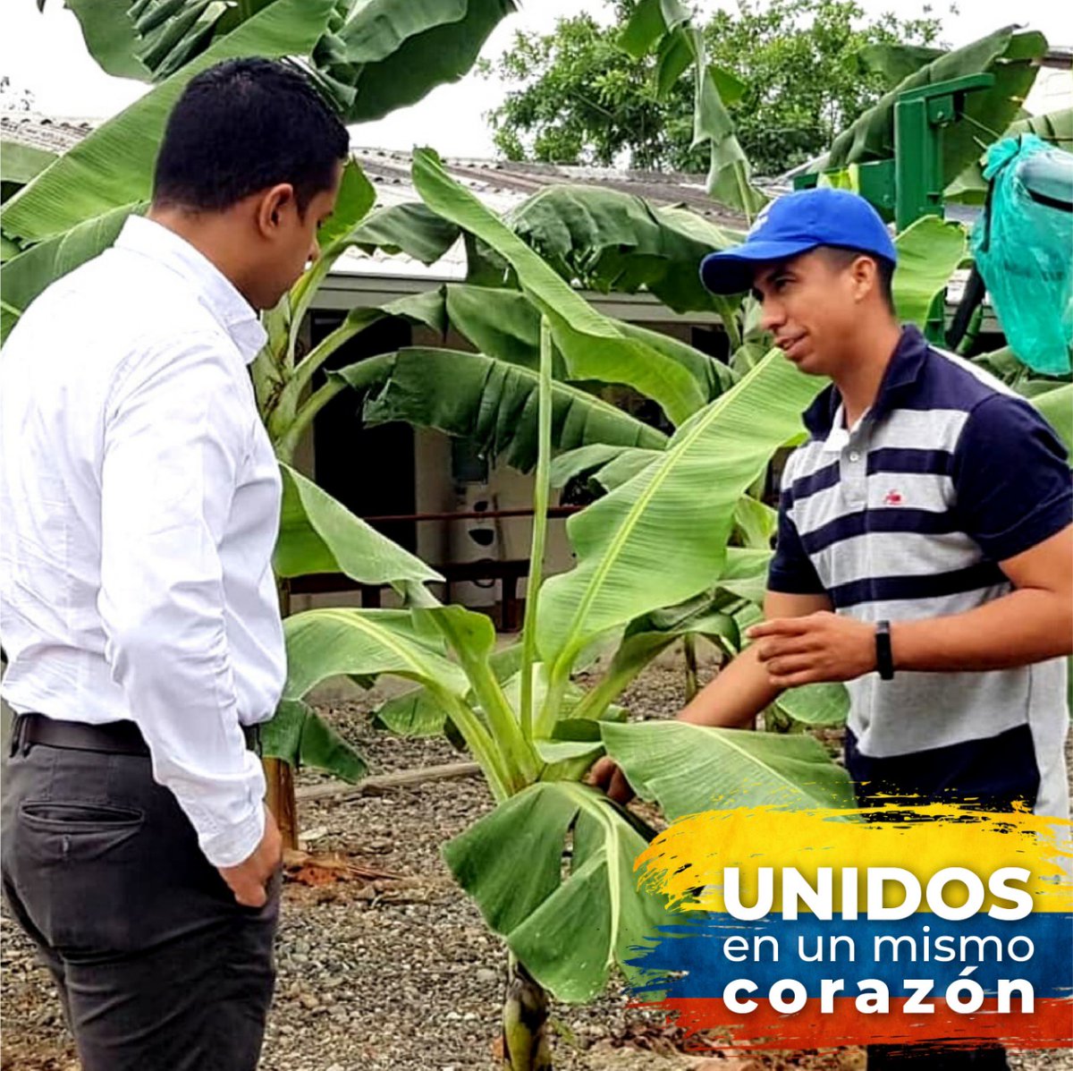 JulianVasquez_R's tweet photo. La independencia viene de la mano de la responsabilidad y ese es uno de los valores que me motiva diariamente a trabajar por un Departamento y un país más equitativo y justo. https://t.co/cRByFFSx0l