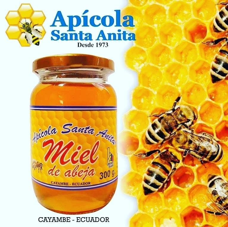 DesdeCeroMP's tweet photo. Andres Guaña es dueño de apícola Santa Anita, emprendimiento que ofrece productos elaborados con miel de abeja 100% pura y natural. Esta empresa elabora shampoo, acondicionador, jabón líquido, bálsamos labiales, miel de abeja pura, polen y jalea.

📻 Escúchanos en la 105.3FM https://t.co/uEpTOErLa8