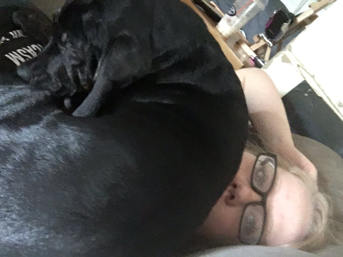 heyitskasey's tweet photo. Who says a hound isn’t a lap dog??? Luna would disagree. https://t.co/6tWrBLHZtd