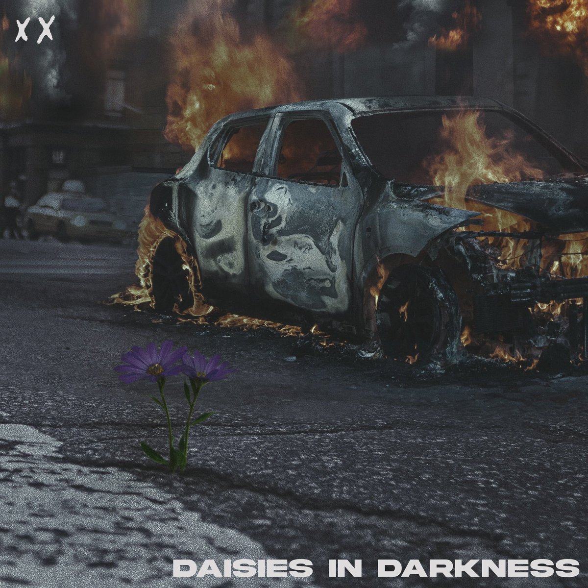 Daisies in Darkness COMING THURSDAY 7/23 🥀🥀🥀