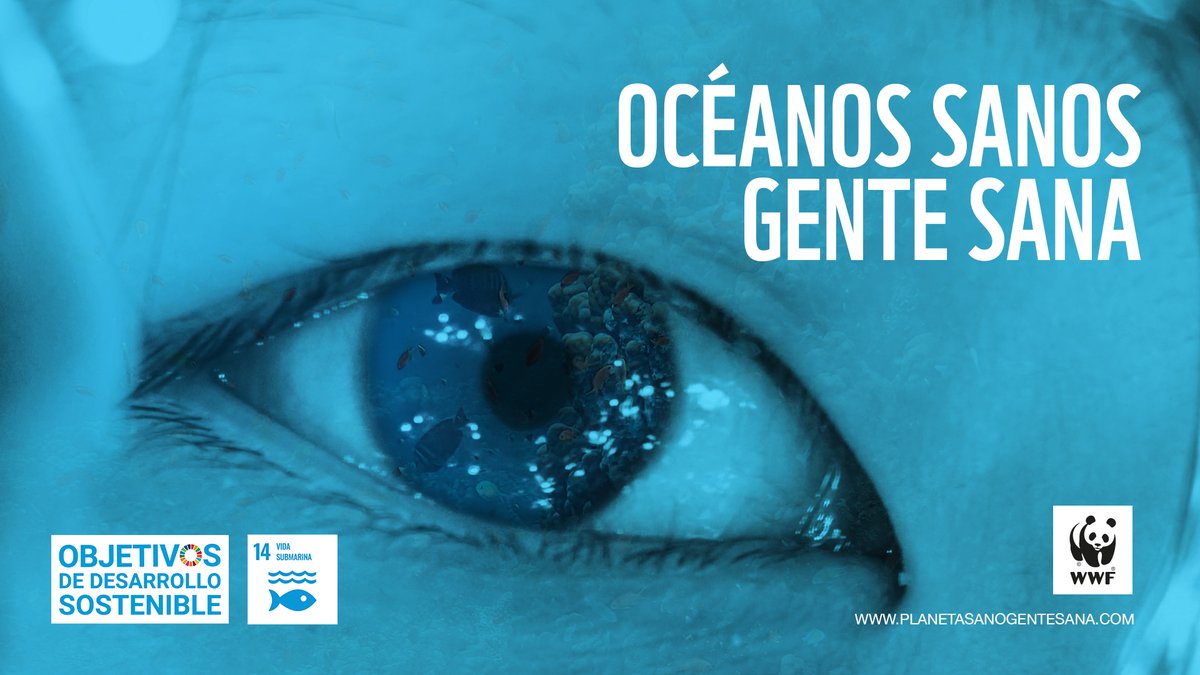 WWF_LAC's tweet photo. Todos vivimos del mar. ¿Sabes por qué? 

Alimentan a más de 1.000 millones de personas, producen la mitad del oxígeno que respiramos, y se encargan de regular el clima. #PlanetaSanoGenteSana

Su salud, es nuestra salud y debe ser protegido. Firma ahora ➡️ https://t.co/Bi8MnsIa9M https://t.co/xeKnlZBHI0