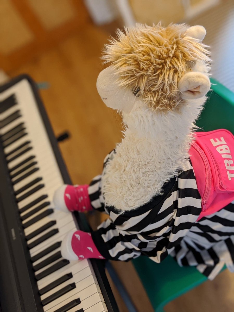 I am enjoying the piano I bought as I'm very interested in music. What are you interested in? #musicalanimal #piano #isolationhobby #mondaymotivation
