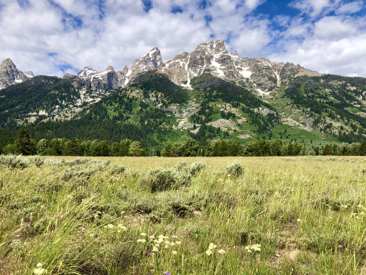 wlgolden's tweet photo. Grand Tetons National Park in Jackson Hole, Wyoming -wlg https://t.co/GFLetyh1Iq