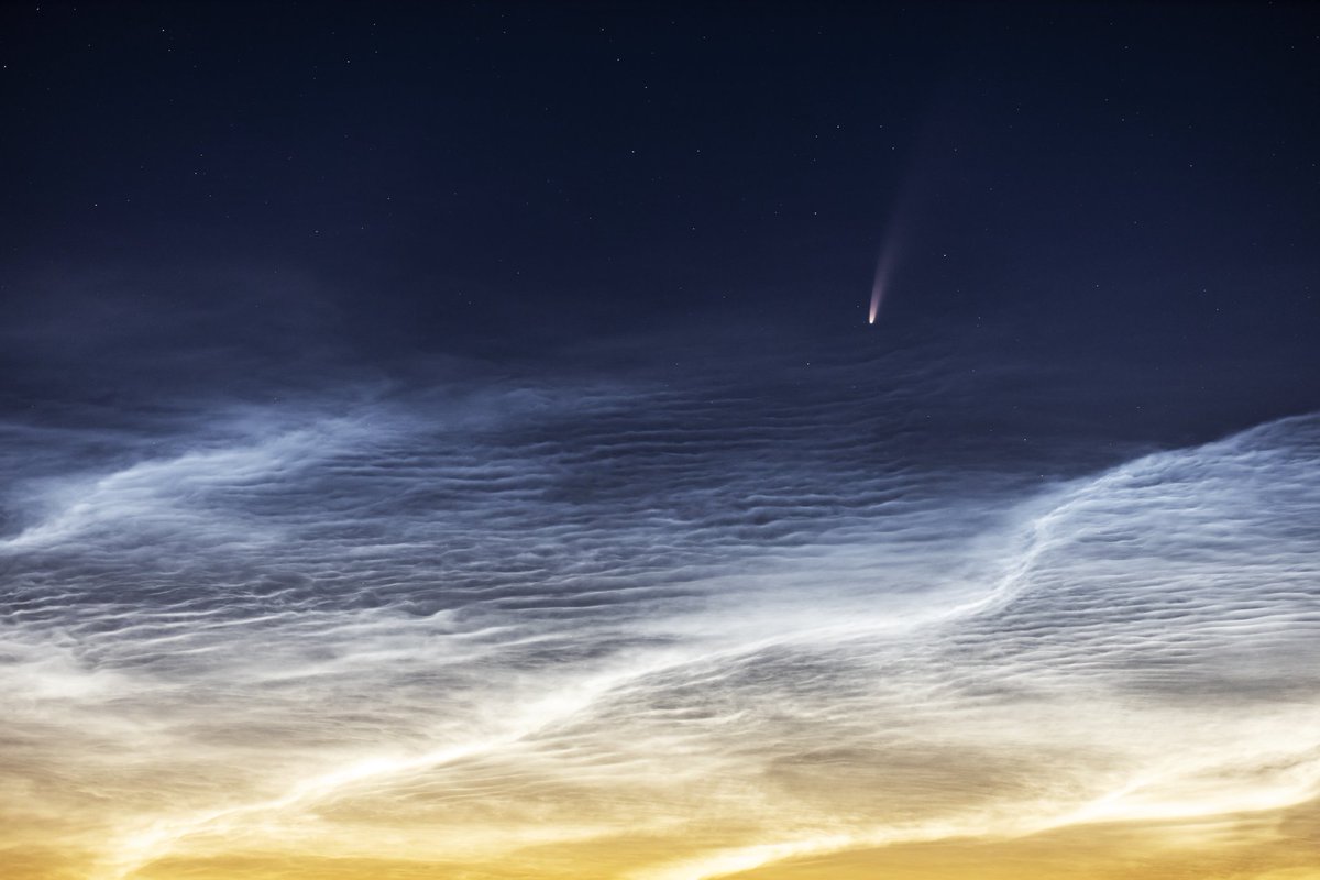 <a href="/ArguDaz/">Miss Hapless Bad Logic Bikini ArguDaz</a> <a href="/JohnRMoffitt/">John Moffitt 🌊🌊🧢 🇺🇦</a> <a href="/Drstevenhobbs/">The Doctor</a> @Donalmaloney @TwiHusband <a href="/2013HerIndoors/">she who must be obeyed</a> <a href="/AngieGr60130939/">Vertebrate</a> @HayesPope <a href="/nazani14/">Judith Sanders</a> @traderttt9 @ChristiAnne67 <a href="/txswede2010/">Björn, Swede of Texas - #BLM</a> @JMPeck69 Thanks the NLC's were awesome. I was spoilt that night! Here's a few more for you from the same night.