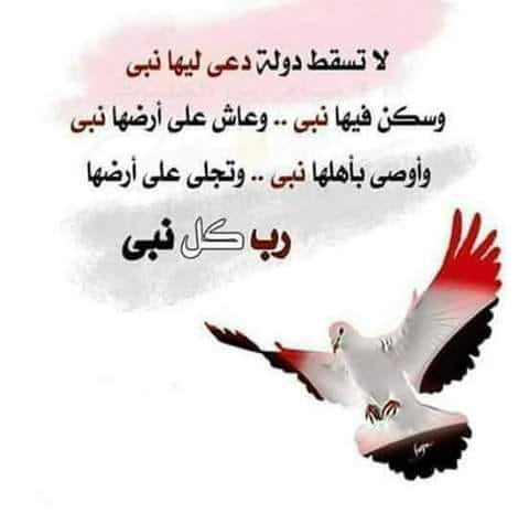 ASD05177451's tweet photo. #كلنا_الجيش_المصري https://t.co/1yhnhvjQ3i